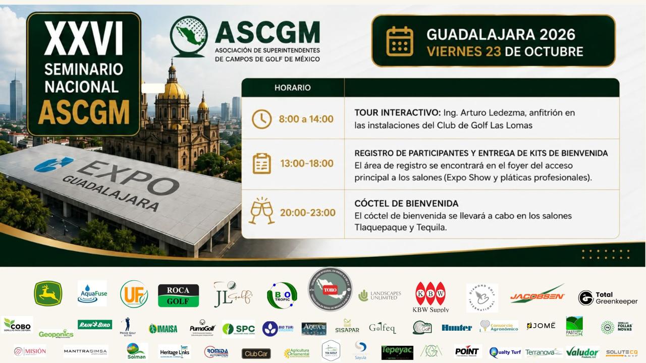 bannerpromo2